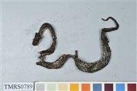 藏品(菊池氏龜殼花)的圖片